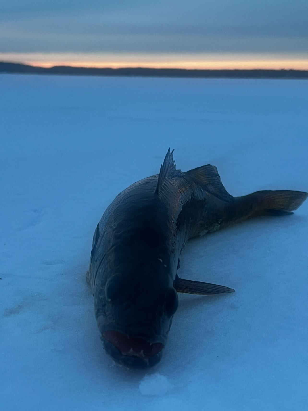 10 Inch Plus Ice