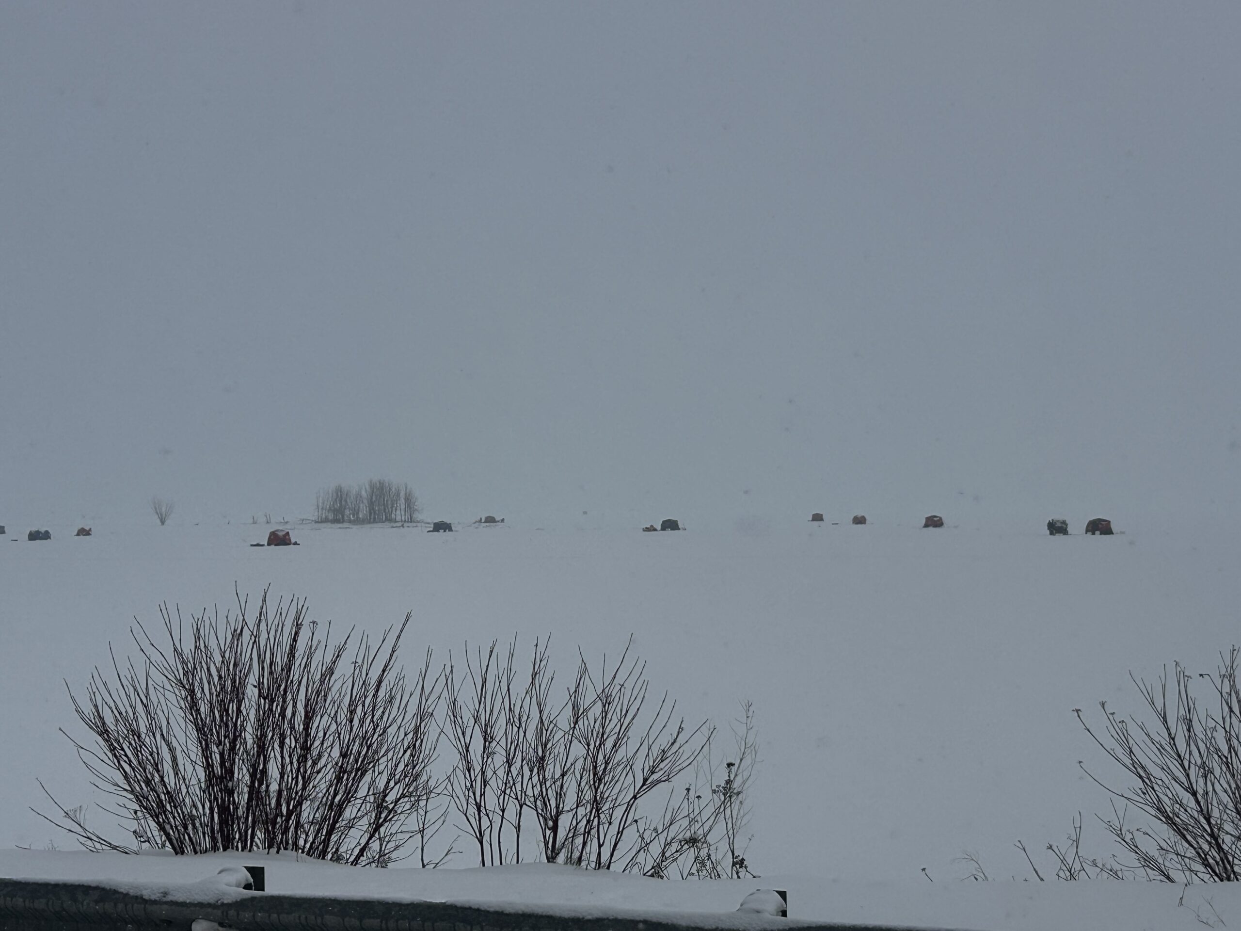 Snow-Covered Bay
