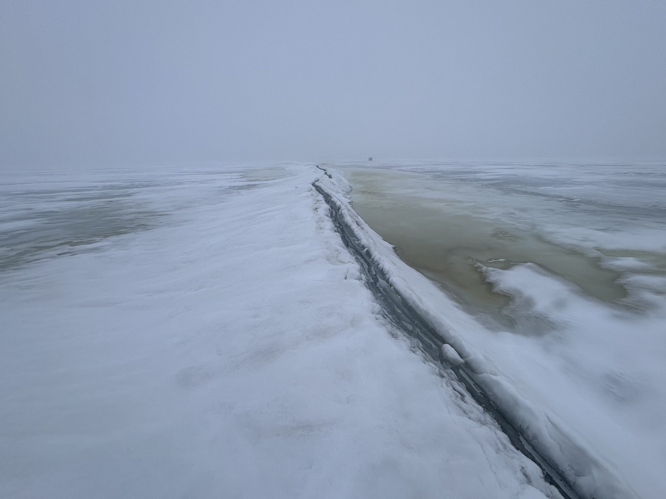 Fogged In, Or Out?